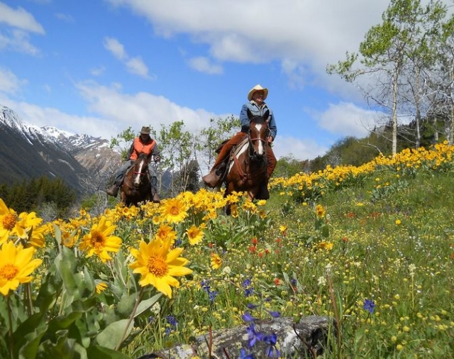  Horseback riding and treks in summer 